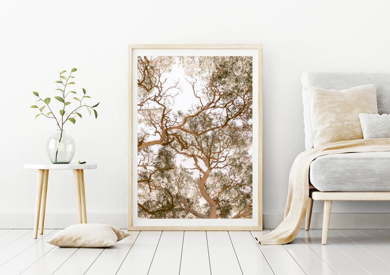 Australian Bush Gumtree Wall Art Botanical Print Nature Etsy Australia