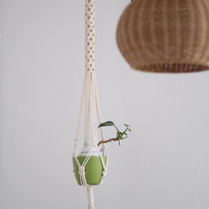 May include: A macrame plant hanger with a green pot and a small plant inside. The hanger is made of white cotton cord and has a wooden ring at the top.