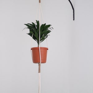 May include: A white macrame plant hanger with a brown pot and a green plant hanging from a black metal hook on a white wall.