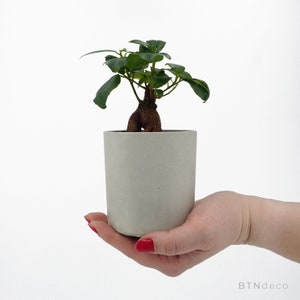 Concrete plant pot | Concrete vessel | Boho Planter | Minimalist style | House plant | Scandinavian design | Hygge decor | Modern decoration