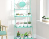 3 Tier Metal Plant Stand, Plant Display Rack, Ladder-Shaped Stand Shelf, Pot Holder for Indoor Outdoor Patio Garden Mint Metal Storage Rack