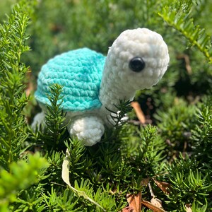 Turtle | Crochet Turtle | Turtle Plushie