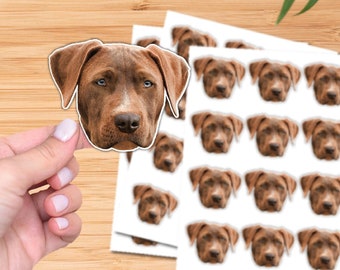 Custom Face Stickers, Personalized Waterproof Decals for Birthdays, Weddings, Bachelorettes, Pets, Graduations & More, Unique Party Favors