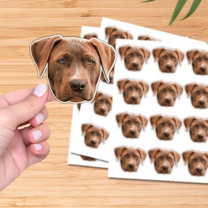 Custom Face Stickers, Personalized Waterproof Decals for Birthdays, Weddings, Bachelorettes, Pets, Graduations & More, Unique Party Favors