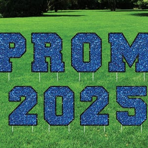 Prom 2025 Graduation Yard Sign Letters, Prom Graduation Yard Cutouts, Grad Party Outdoor Lawn Decorations Yard Signs With Metal Stakes