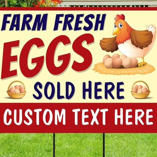 Custom Farm Fresh Chicken Eggs for Sale WITH Sold Out Etsy