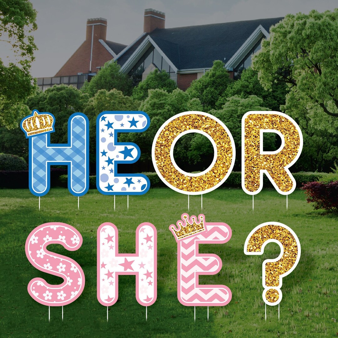 Gender Reveal Yard Sign Decorations Cutouts, He or She Lawn Letters Decorations Baby Gender