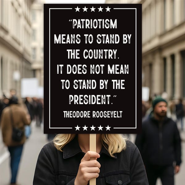Patriotism Means To Stand By The Country Protest Sign, Anti-Trump, Resist Racism, Resist Fascism, Political Activist Poster Rally Sign