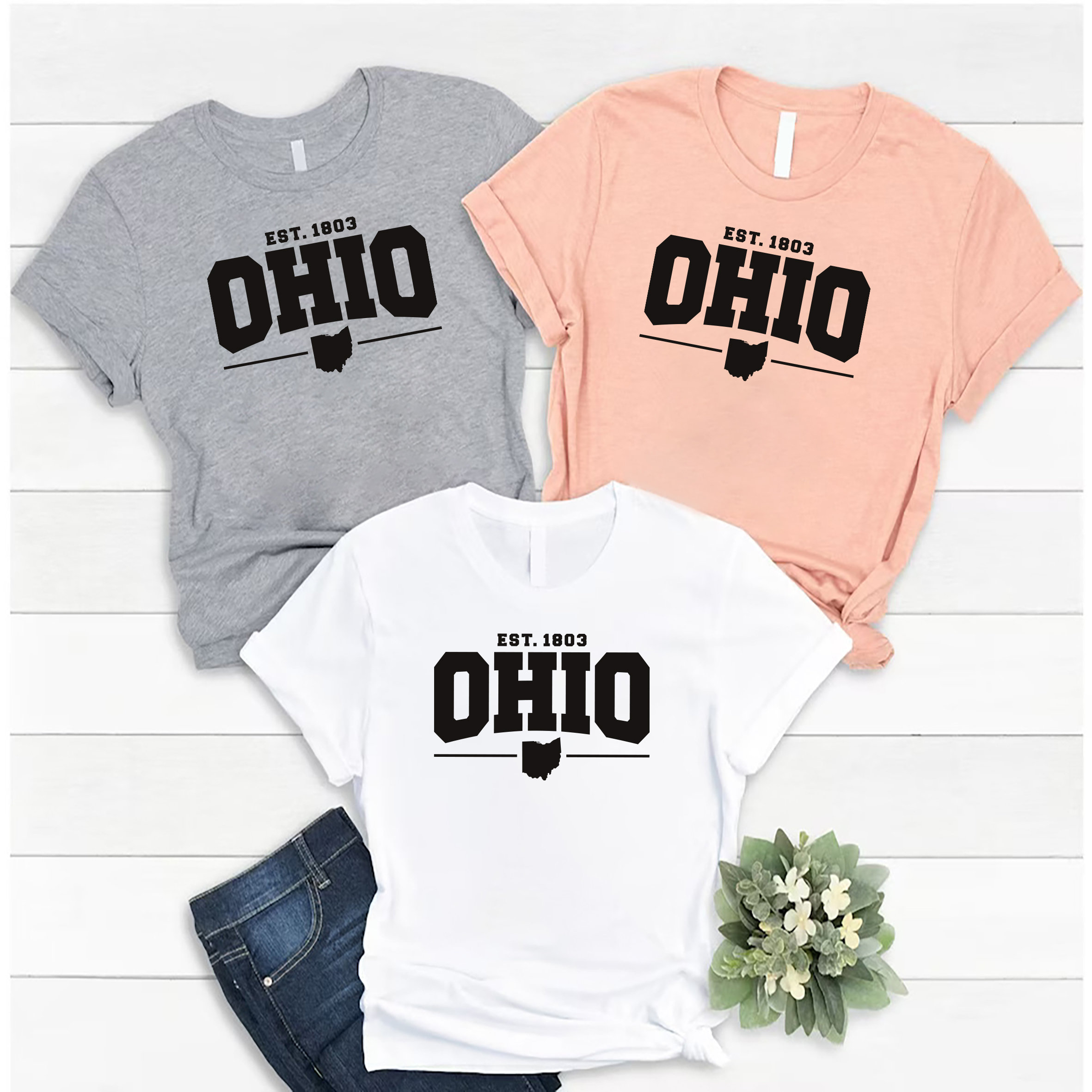 Ohio T-shirt, Vintage Ohio Shirt, Ohio Established 1803