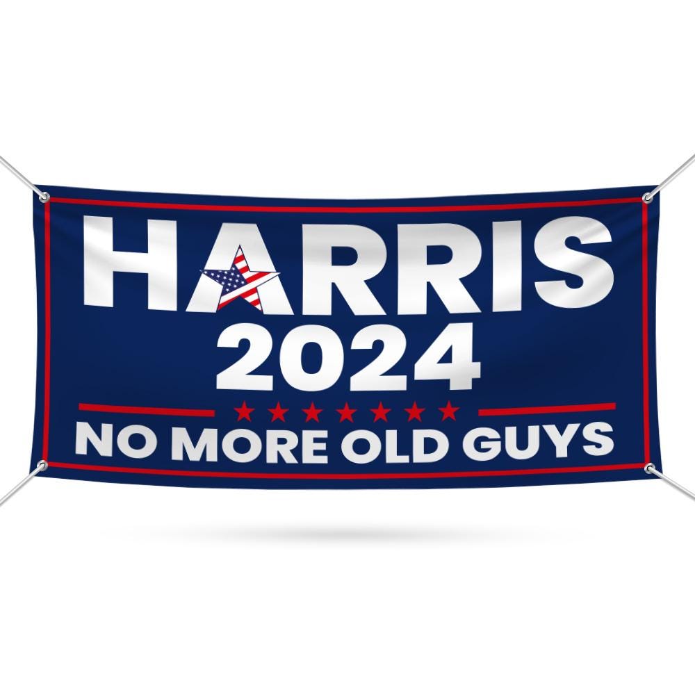 Kamala Harris 2024 Election Banner