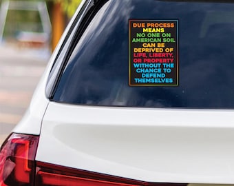 Due Process Save Democracy Resistance Vinyl Sticker, Resist Hate Decal, Anti-Trump, Resist Racism, Resist Fascism Bumper Sticker, 6" x 4.5"