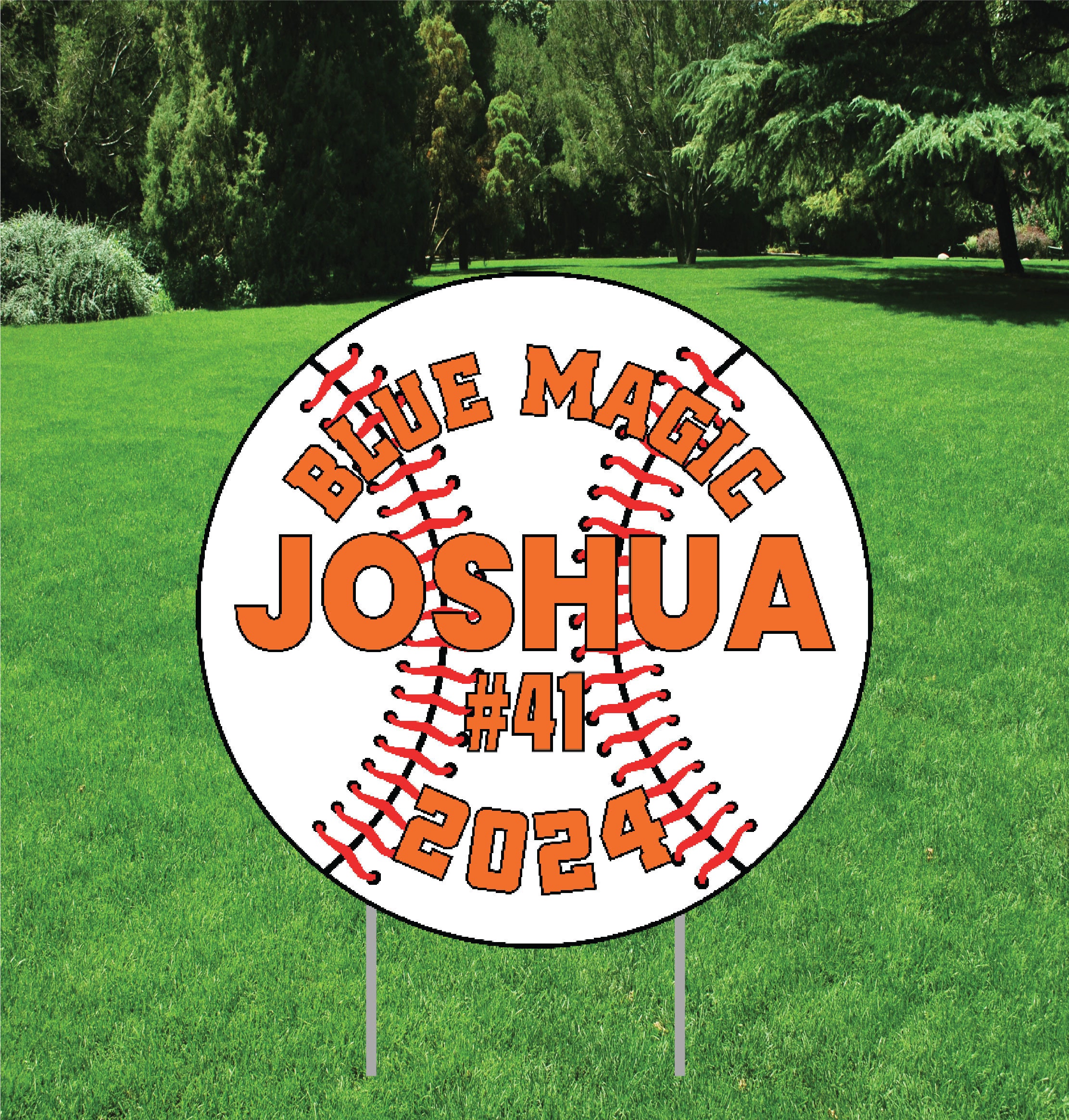Personalized Baseball Yard Sign Decoration - Custom Team, Name, Number ...