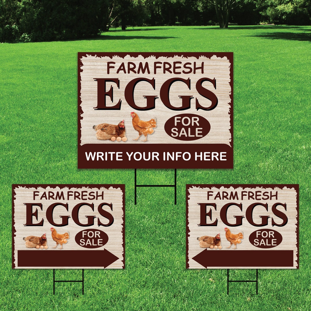 Farm Fresh Eggs Yard Sign 3 Pack Coroplast Double Sided Etsy
