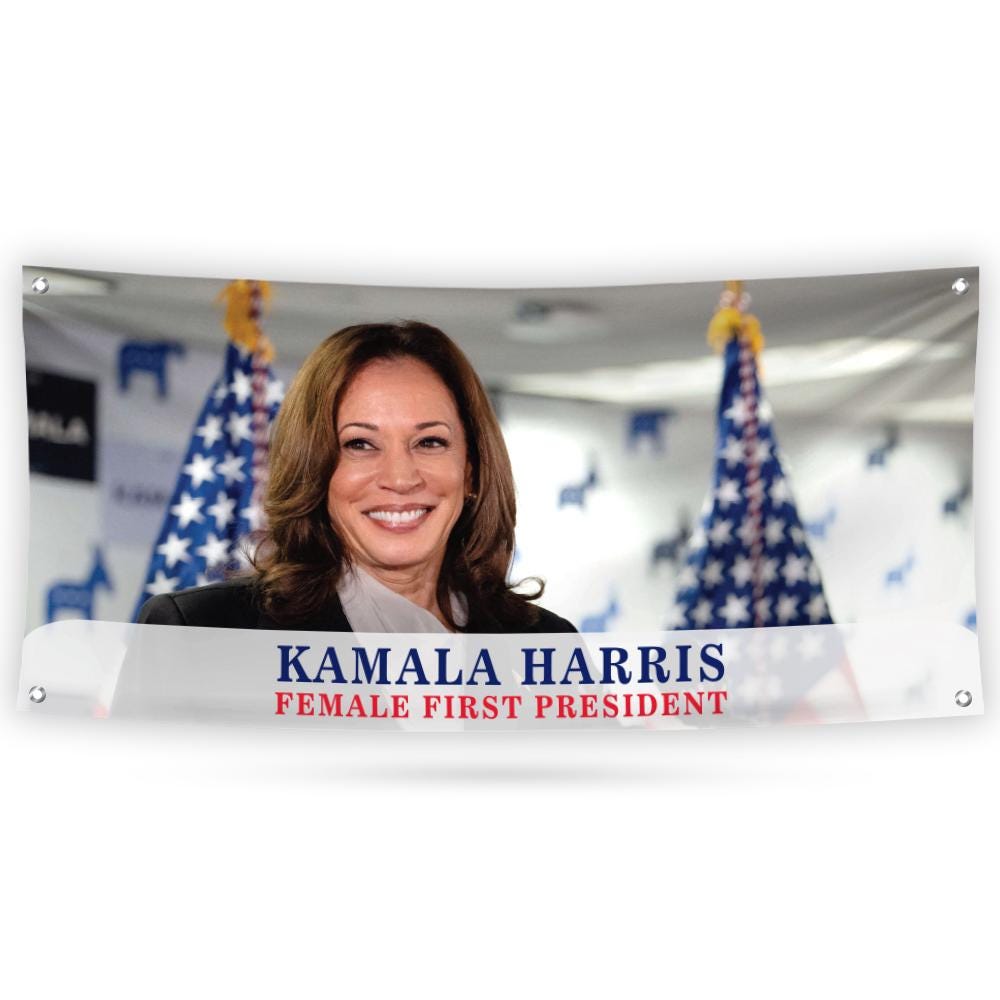 Kamala Harris 2024 Banner, Harris For President 2024, Childless Ladies Election 2024 Ba09