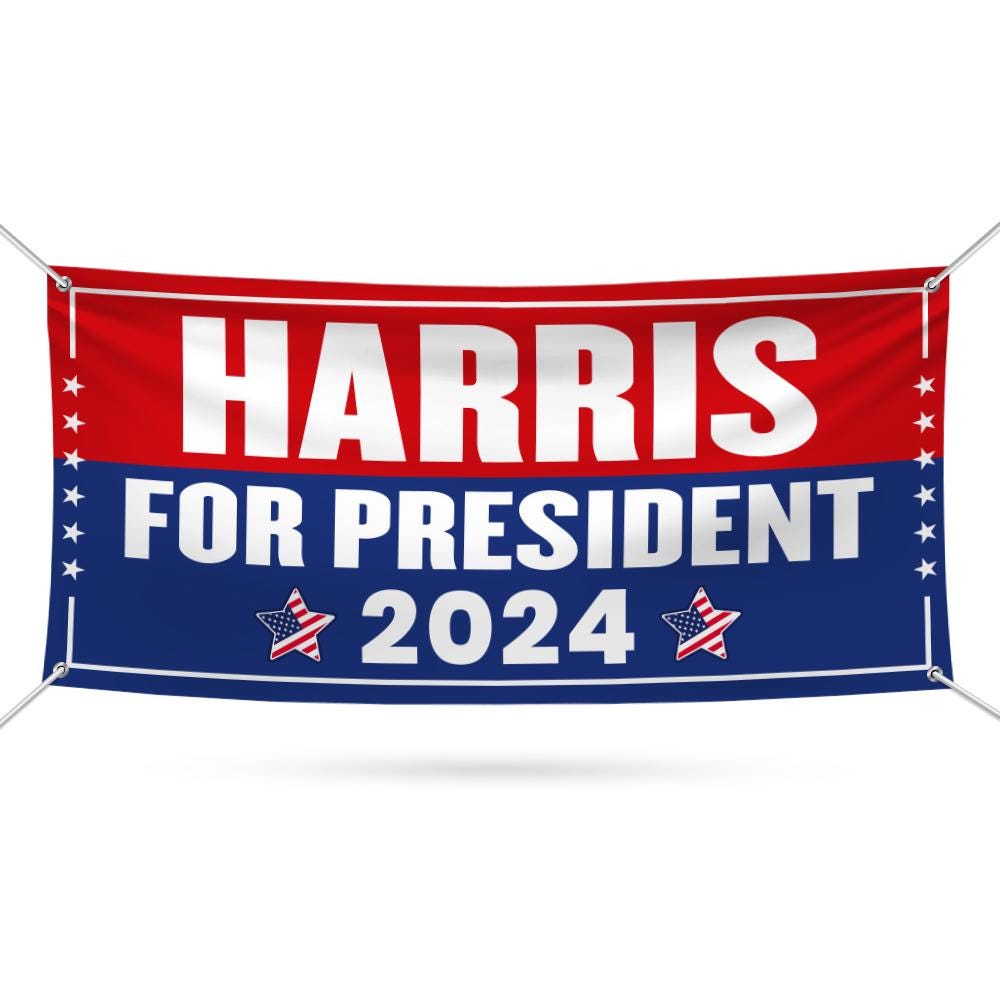 Discover Kamala Harris 2024 Banner, Kamala Harris For President 2024, President Election 2024 BA212