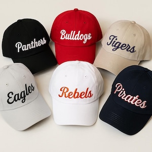Casquette de baseball d'équipe personnalisée, Chapeau brodé pour les fans des jours de match, Casquette de sport réglable, Cadeau d'entraîneur papa de l'équipe, Casquette de baseball Gym Spirit Wear