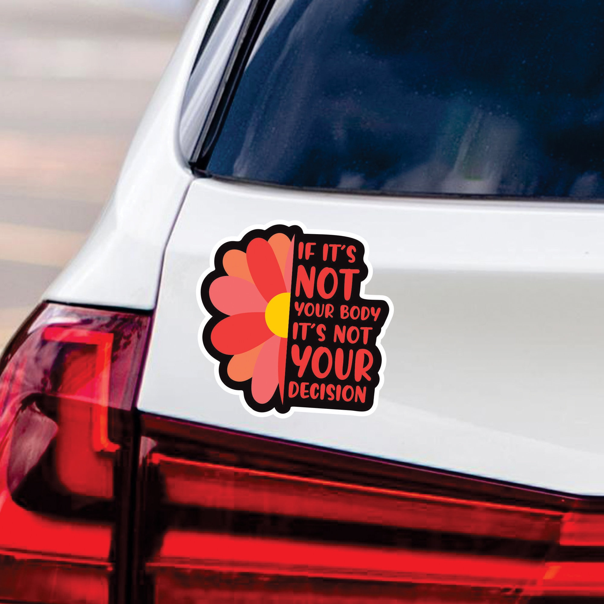 Pro Choice Car Magnet