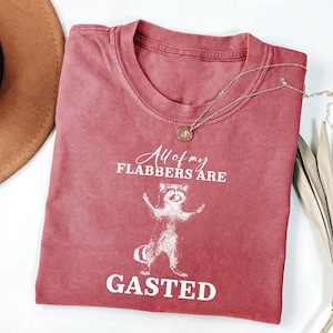 All of My Flabbers Are Gasted Shirt, Funny Raccoon Sweatshirt, Raccoon Graphic Long Sleeve T-Shirt, Funny Meme Hoodie, Vintage Retro Cartoon