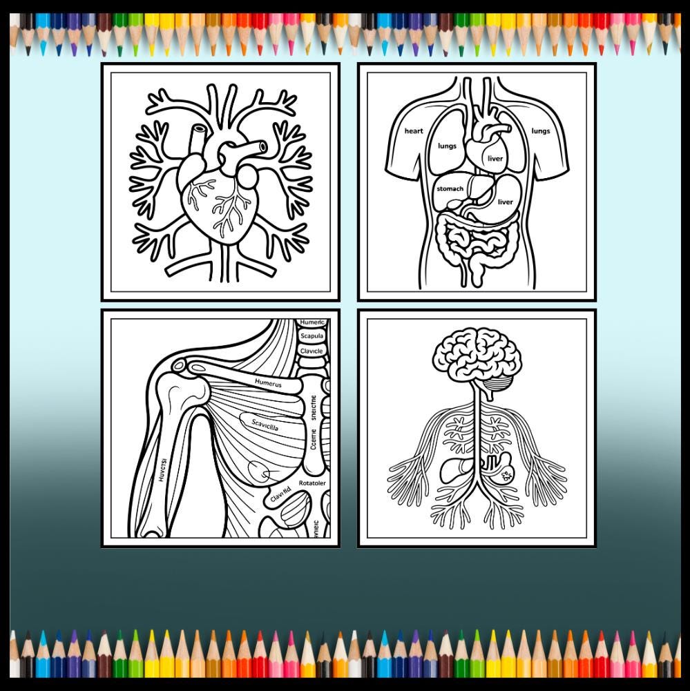 Human Physiology Coloring Book for Kids Young Boys Girls Teens Bold ...