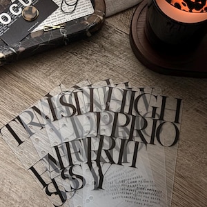 May include: A set of translucent plastic planner dividers featuring black typography. The text includes phrases like HIGH PRIORITY and SINKING FUNDS, with punched holes along the left edge for binder insertion. These clear sheets are layered to show the bold, serif font design.