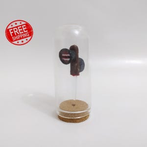 Siren Head Terrarium Head in Jar Polymer Clay Horror Figure Halloween Decor