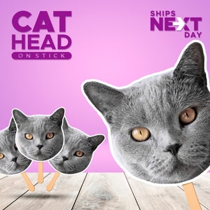 Abanicos de caras de mascotas, cara personalizada en un palo para recuerdos personalizados de mascotas