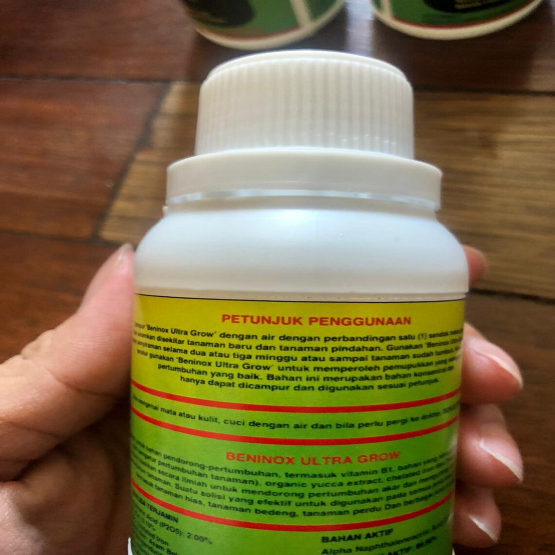 FERTILIZER Vitamin B1 for All Plants Beninox 100 Ml Etsy