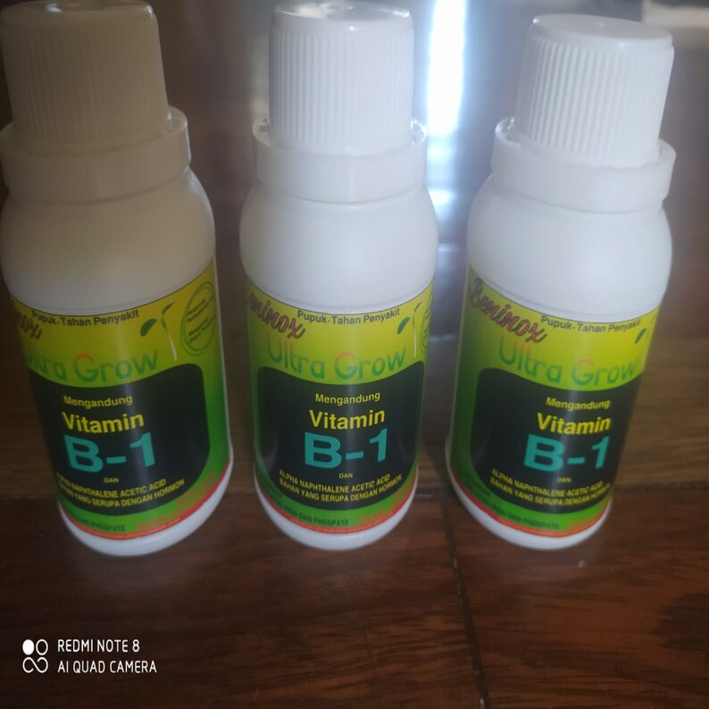 FERTILIZER Vitamin B1 for All Plants Beninox 100 Ml Etsy