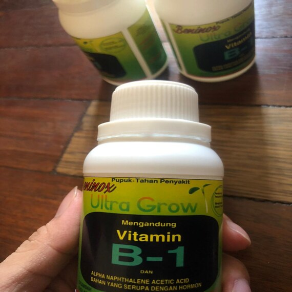 FERTILIZER Vitamin B1 for All Plants Beninox 100 Ml Etsy