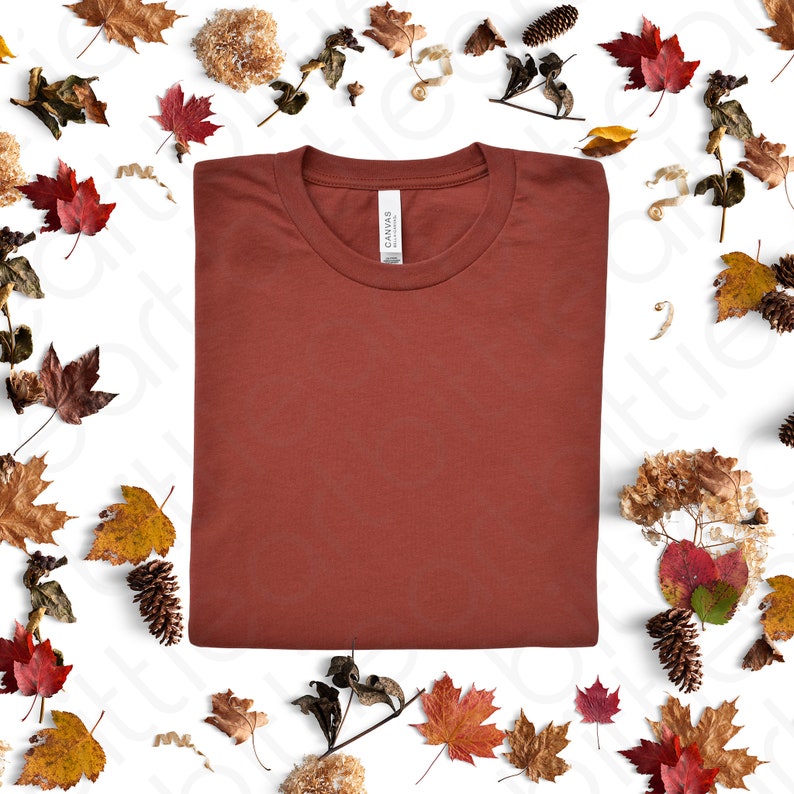 Download Fall Mockup 3001 Rust Mockup Autumn Shirt Mockup Bella Canvas | Etsy