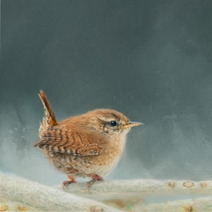 WREN Giclee Fine Art Print