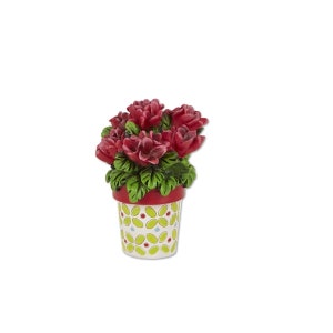 May include: A small potted plant with red flowers and green leaves. The pot is white with a red rim and a green and yellow geometric pattern.
