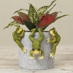 May include: A gray ceramic plant pot with three green frog figurines climbing on the side. The pot contains a plant with red and green leaves. The frogs have yellow eyes and are in various climbing positions.