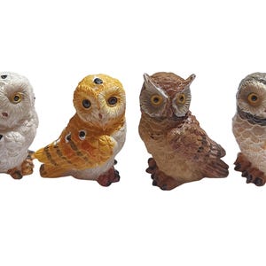Miniature Fairy Garden Set of 4 Woodland Owls