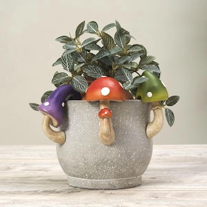 May include: A gray ceramic planter with three mushroom-shaped handles. The mushrooms are painted in shades of purple, red, and green with white polka dots. A green leafy plant is growing inside the planter.