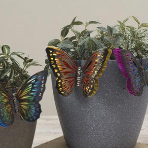 May include: Three decorative metal butterfly ornaments in shades of blue, red, yellow, and purple are attached to the rims of gray plant pots filled with greenery. The butterflies add a colorful accent to the plants.