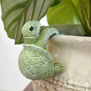 May include: A light green turtle figurine designed to hang on the edge of a pot. The turtle has a textured shell with geometric patterns, a small head with a black eye, and front flippers that hook over the rim of a cream-colored planter.