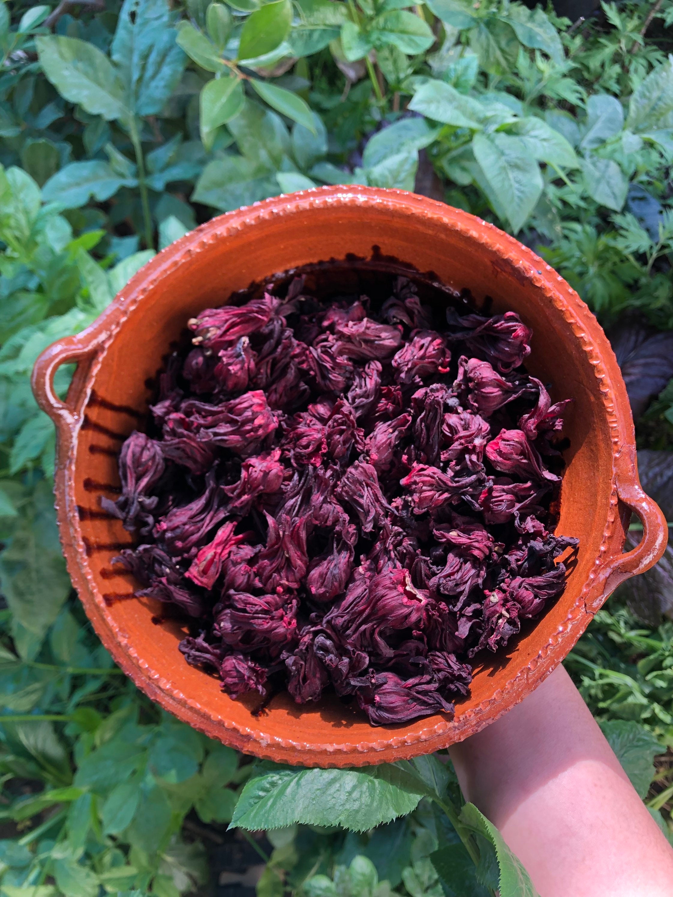 Dried Hibiscus Cut Flowers 100% Organic Premium Jamaica Herbal Flor Tea  Ceylon