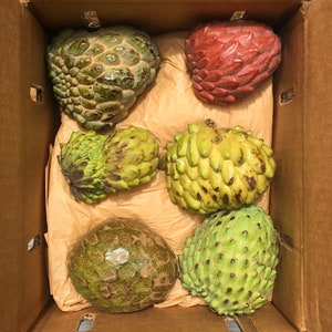 IN SEASON Annona Variety Fruit Box// Free Shipping in USA image 2