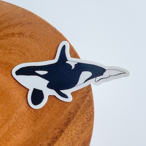 Killer Whale, Orca Sticker 3&quot;