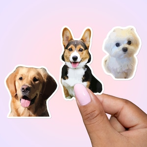 Custom Pet Sticker, Vinyl Matte