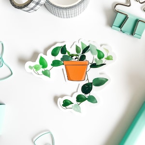 Maceta de plantas de hiedra del diablo, pegatina de plantas de interior, vinilo mate, calcomanía para computadora portátil, regalo de mejor amigo