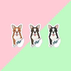 Boston Terrier Dog Pet Sticker, Vinyl Matte