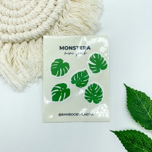 Pacote de mini adesivos Monstera Leaf, vinil fosco