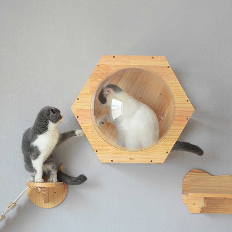 Wall-Mounted Wooden Cat Space Dome Cat Bed Small Pets Bed ...