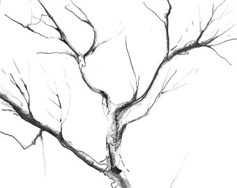 Dessin d’arbre | Illustration dessinée à la main | Idée cadeau | Décor maison | Nature | Dessin à l’encre | Arbres | Handmade