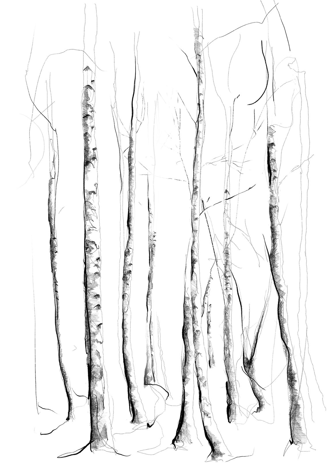 Woodland Scene | Hand-drawn Illustration | Gift Idea | Home Décor ...