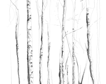 Woodland Scene | Hand-drawn Illustration | Gift Idea | Home Décor | Nature | Ink Drawing | Trees | Handmade