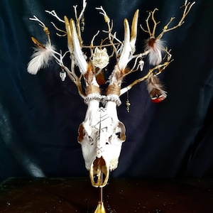 Freya's Whispers - Real Roe Deer Skull Viking Inspired image 6