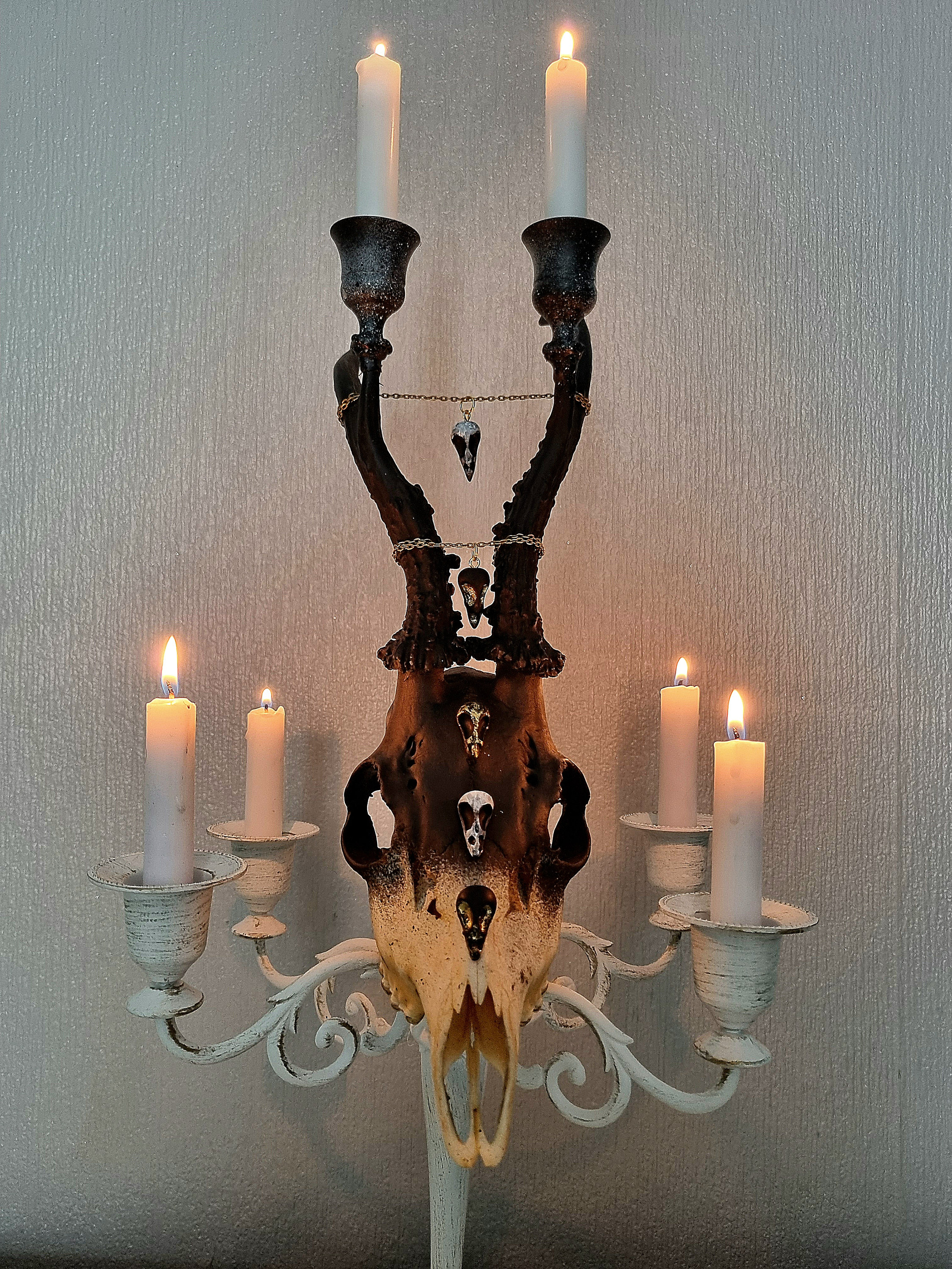 Real Roe Deer Skull Candelabra Dark Interiors Gothic Design